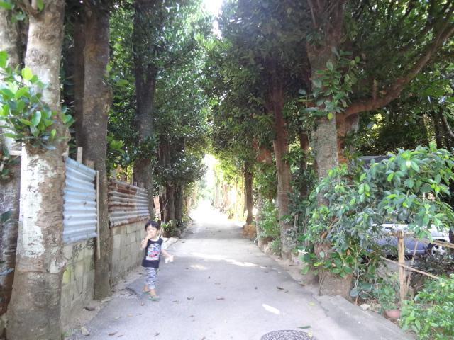 Bise House Guest House Motobu Bagian luar foto